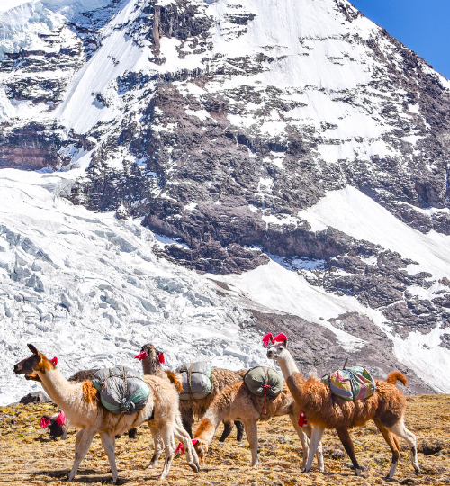 ausangate turismo peru experiencias