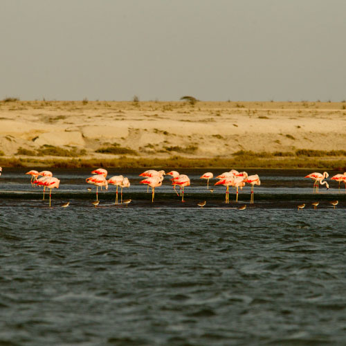 piura peru experiencias travel