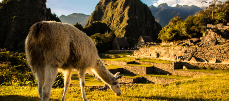 visitar cusco perú experiencias