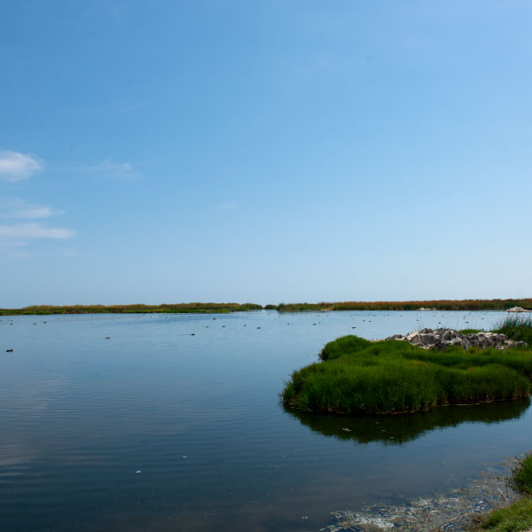 naturaleza humedales de ite peru experiencias
