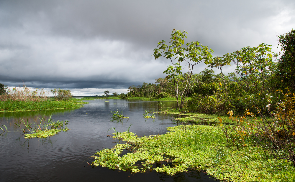 viaje a perú loreto