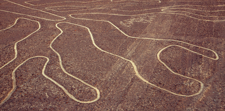 lineas de nazca arbol