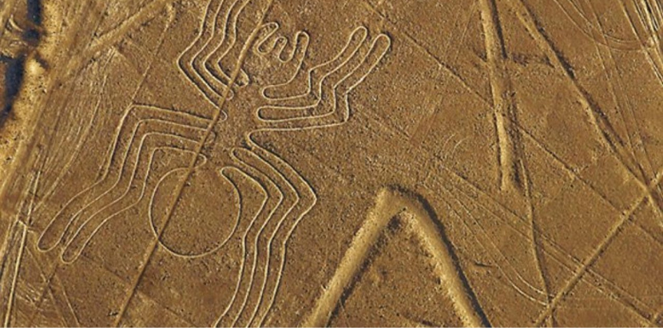 araña líneas de nazca