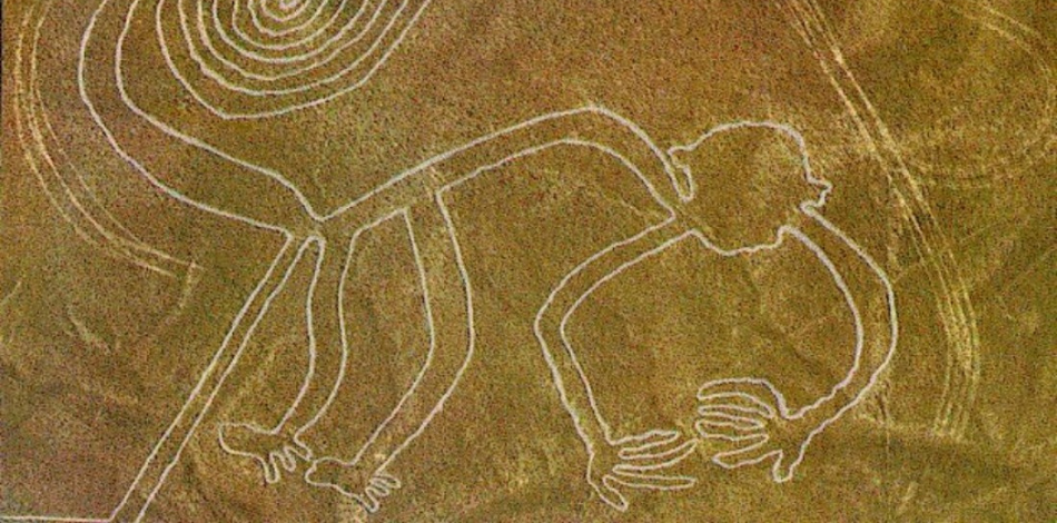 mono líneas de nazca
